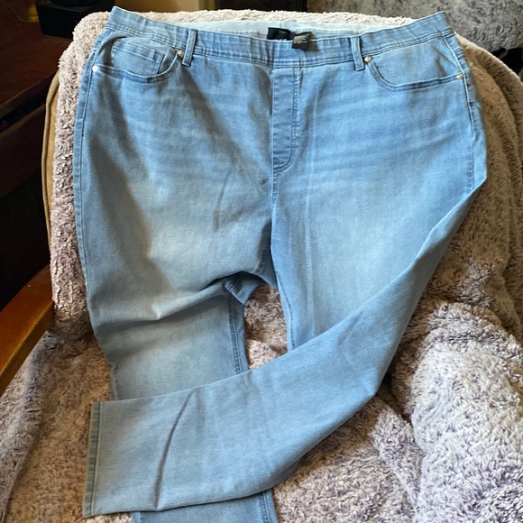 DG2 chambray skinny jeans 2x - Picture 1 of 7